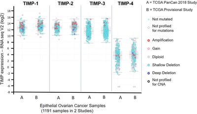 Expression of TIMPs and MMPs in Ovarian Tumors, Ascites, Ascites-Derived Cells, and Cancer Cell Lines: Characteristic Modulatory Response Before and After Chemotherapy Treatment